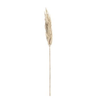 Vetvička trávy pampas 90cm cream, 8 x 8 x 90 cm