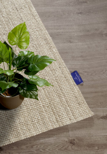 Villeroy & Boch, Kusový koberec Villeroy & Boch 106066 Beige, 160x230, béžová, chodba / predsieň