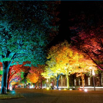 Vonkajší LED reflektor Flores XL, IP44, CCT, RGB