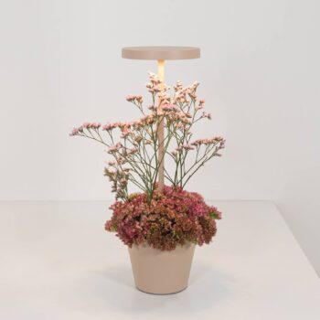 Zafferano Poldina Reverso lampa batérie piesková