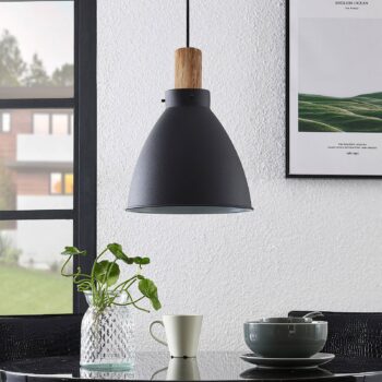 Závesné svietidlo Lindby Trebale, E27, Ø 28 cm, čierna farba, drevo