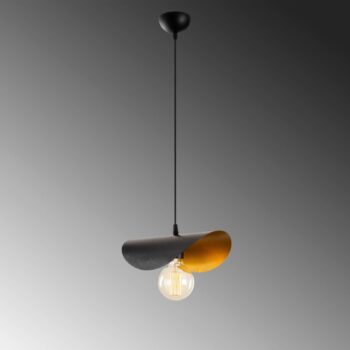 Závesné svietidlo Sivani MR-830 1-light black/gold