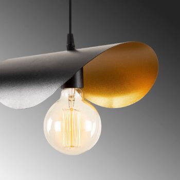 Závesné svietidlo Sivani MR-830 1-light black/gold