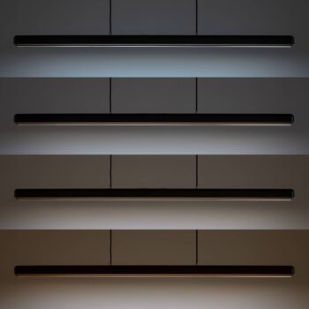 Závesné svietidlo UMAGE LED Hazel Branch, čierna/mosadz, 150 cm