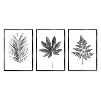 Zostava obrazov Tropical Grey 3 ks, 40 x 50 cm