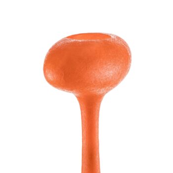 kdln stojaca lampa E.T.A., oranžová, výška 200 cm