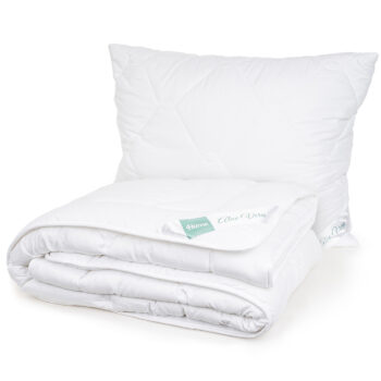 4Home Set prikrývky a vankúša Aloe Premium, 140 x 220 cm, 70 x 90 cm, 140 x 220 cm, 70 x 90 cm