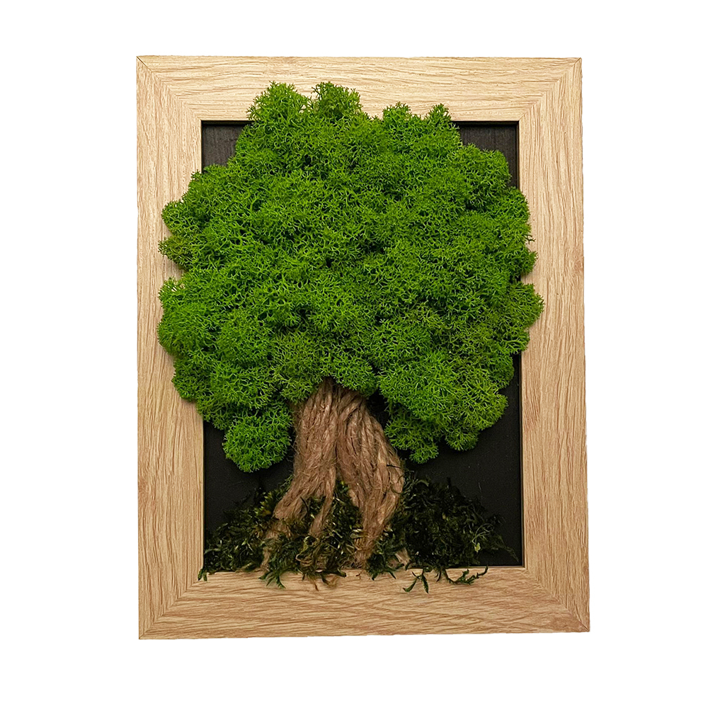 Machový obrázok v hnedom ráme 17 x 22 cm Machový obrázok v hnedom ráme 17 x 22 cm