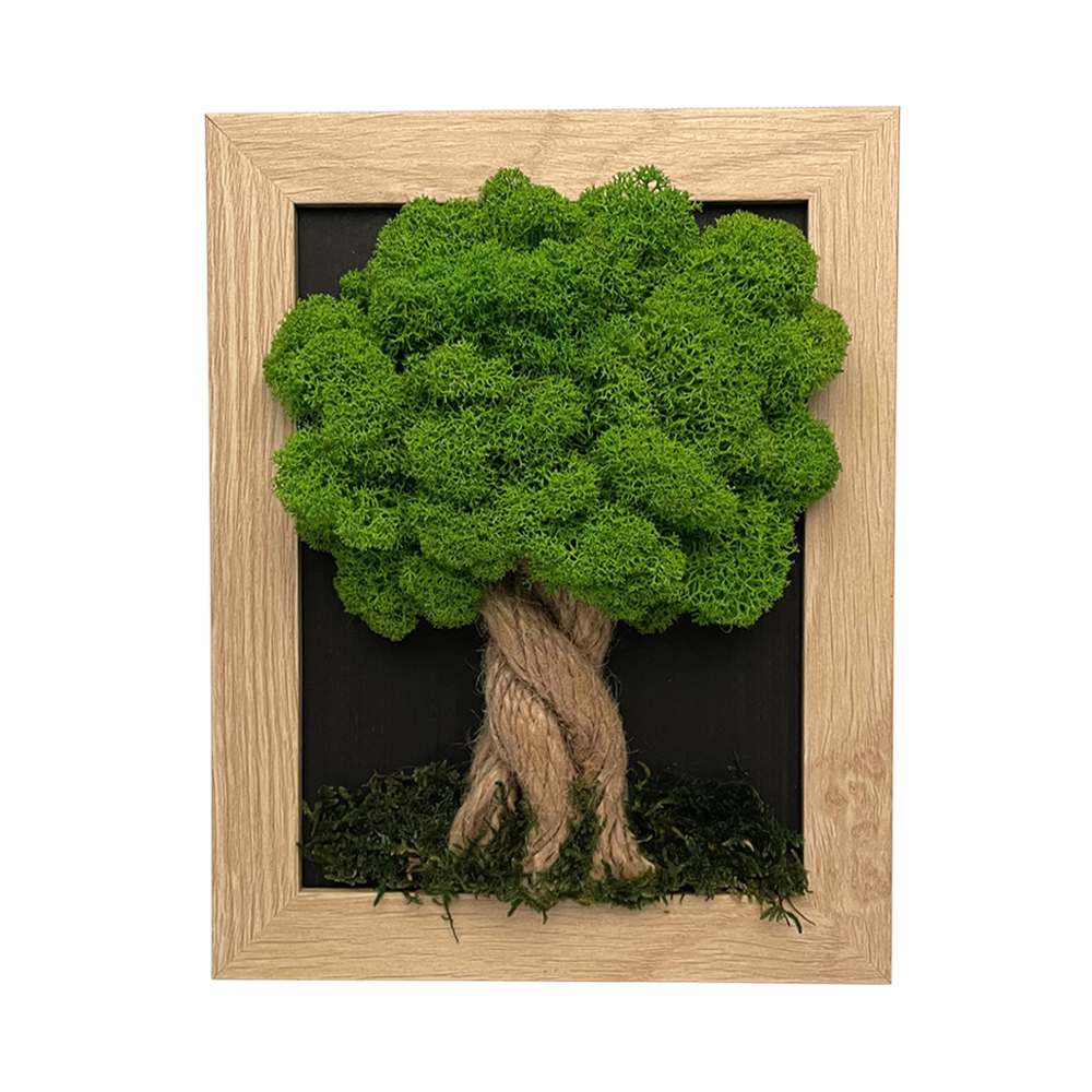 Machový obrázok v hnedom ráme 19 x 24 cm Machový obrázok v hnedom ráme 19 x 24 cm