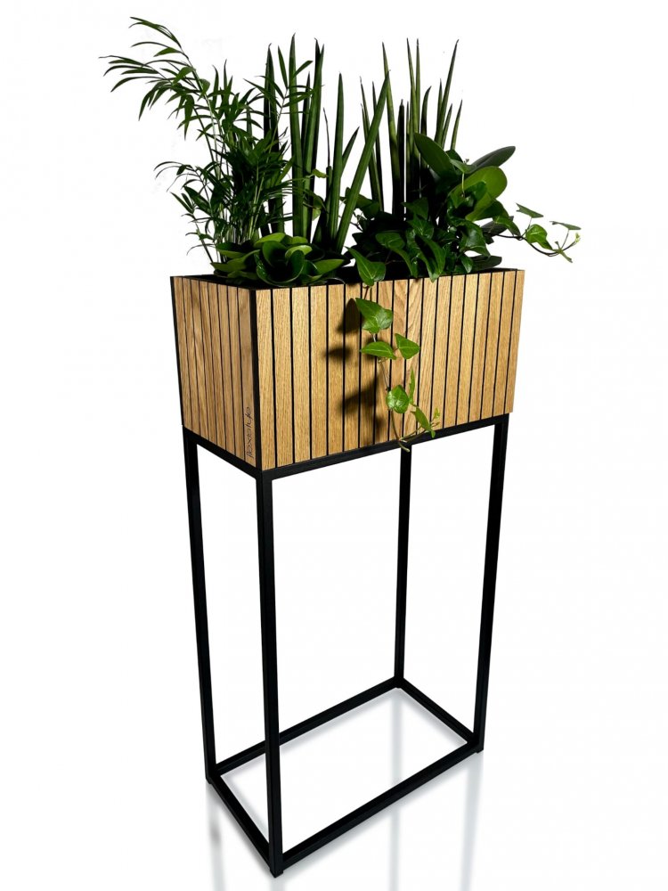 Moderný vysoký kvetináč prírodnej dubovej dyhy LOFT FIORINO 42X22X80 cm Moderný vysoký kvetináč prírodnej dubovej dyhy LOFT FIORINO 42X22X80 cm