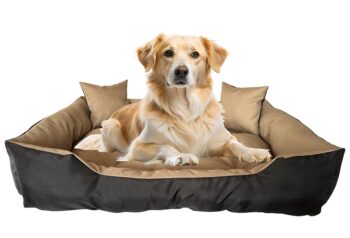 Vodoodolný komfortný pelech pre psa s vankúšmi - hnedo-čierny Šírka: 45 cm | Dĺžka: 55 cm