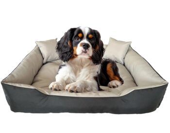 Vodoodolný komfortný pelech pre psa s vankúšmi - sivý Šírka: 45 cm | Dĺžka: 45 cm