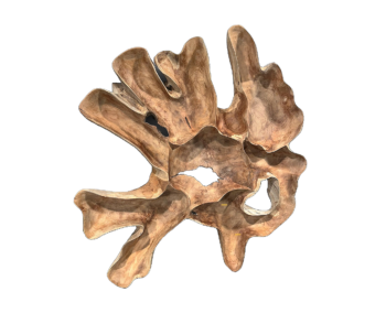 DEOKORK Teaková plastika z koreňa SLNKO