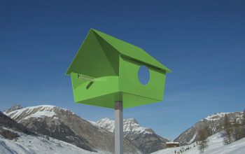 Radius design cologne Vtáčia búdka RADIUS DESIGN (PIEPSHOW XXL grün 529D) zelená