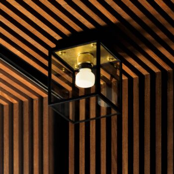 Buster + Punch Caged Wet Small IP44 mosadzná