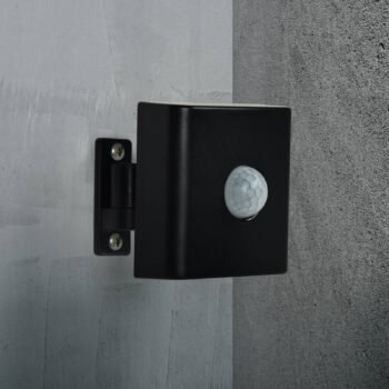 Detektor pohybu a súmrakový snímač Smart, čierna