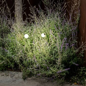 LED podstavcová lampa Cuca, čierna, nerezová oceľ/sklo, výška 65 cm