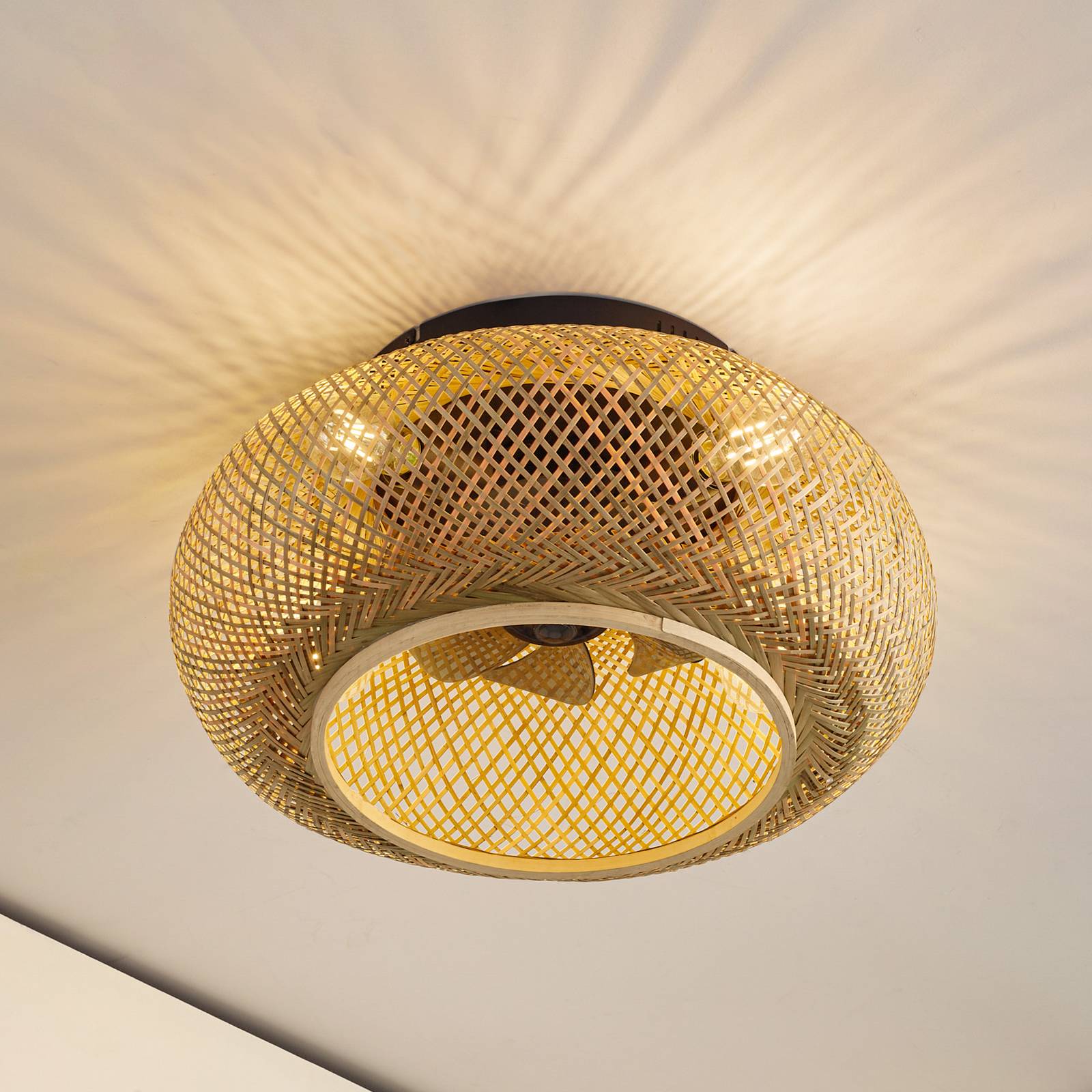 Lucande Stropný ventilátor s osvetlením Cordie, DC, tichý, Ø 53 cm Lucande Stropný ventilátor s osvetlením Cordie, DC, tichý, Ø 53 cm