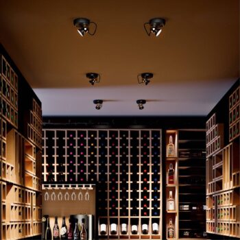 Nástenné svietidlo LED Duck black, hliník, 2700 K, nastaviteľné