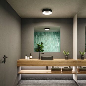 Paulmann HomeSpa Casca stropné svietidlo Ø30cm čierne