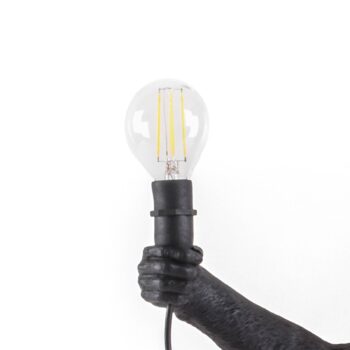 SELETTI LED žiarovka Monkey Lamp Outdoor E14 2 W 24V/36V