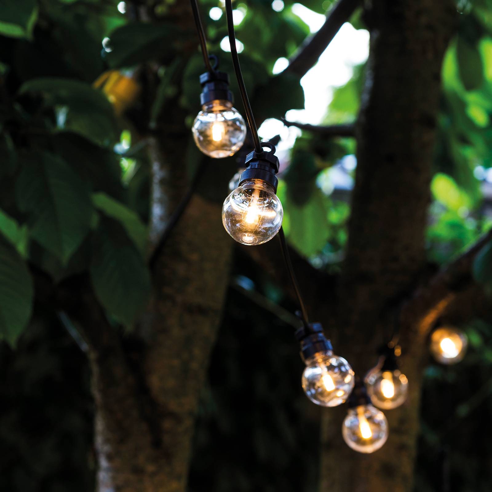 Štartovacia sada LED solárnych svetelných reťazí Lucas, číra Štartovacia sada LED solárnych svetelných reťazí Lucas, číra