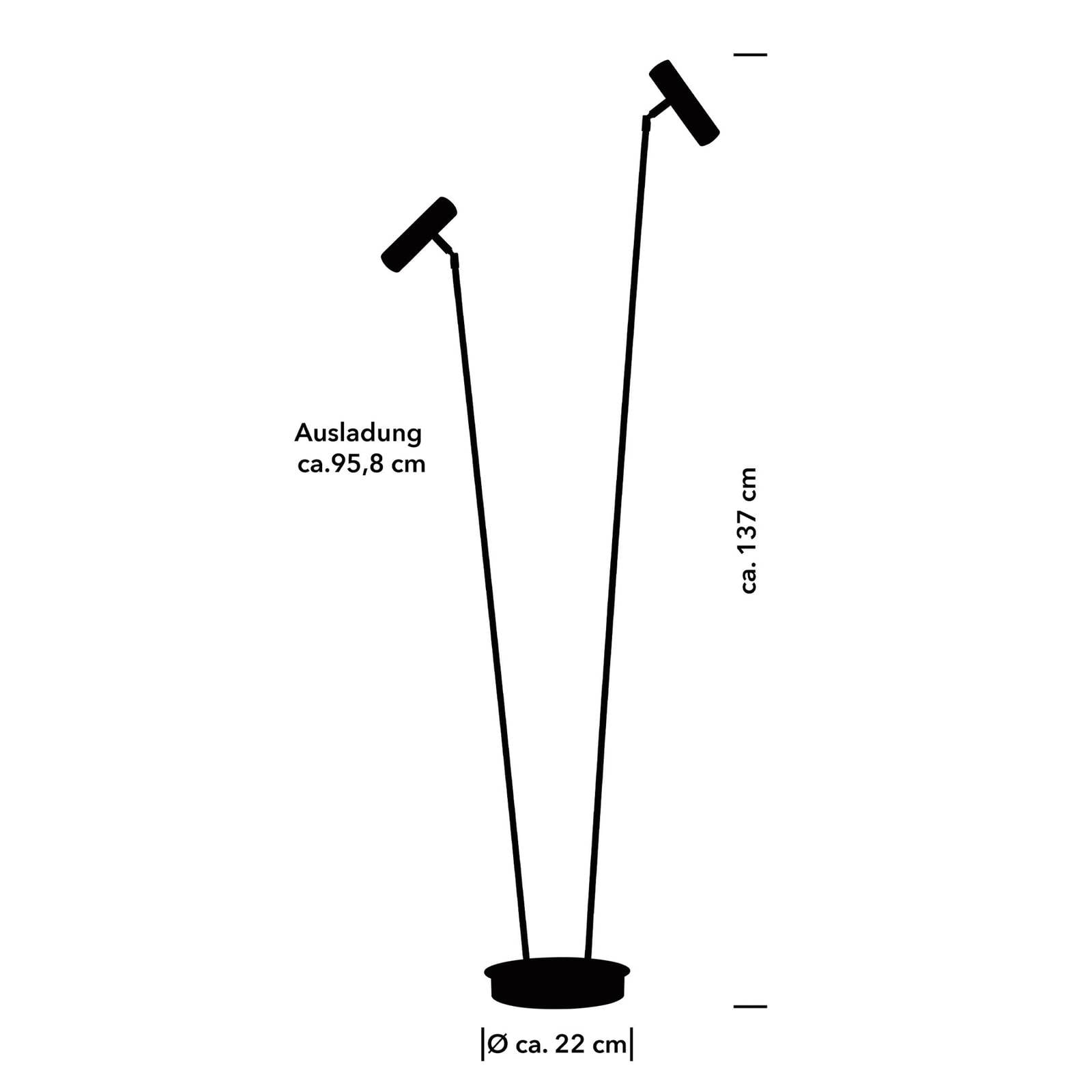 Stojacia lampa Tom Pro LED, čierna, 2 svetlá, CCT, stmievač Stojacia lampa Tom Pro LED, čierna, 2 svetlá, CCT, stmievač