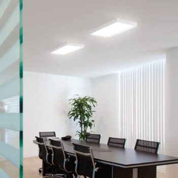 Stropné LED Tara stmievateľné, 54 x 29 cm