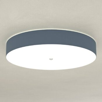 Stropné svietidlo Alea, bridlica