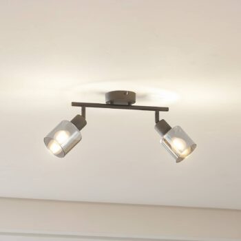 Stropné svietidlo Lindby Netty, 2-svetelné, sivé, sklo