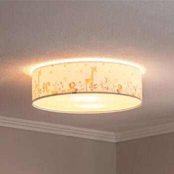 Stropné svietidlo do detskej izby Max, Ø 50 cm