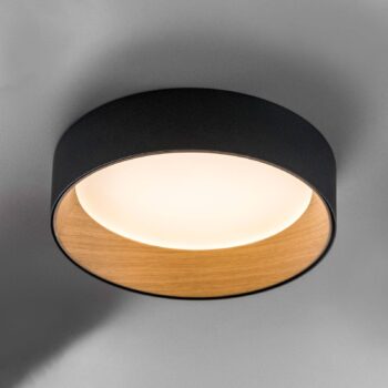 Vibia Duo 4870 stropné LED svetlo, grafit