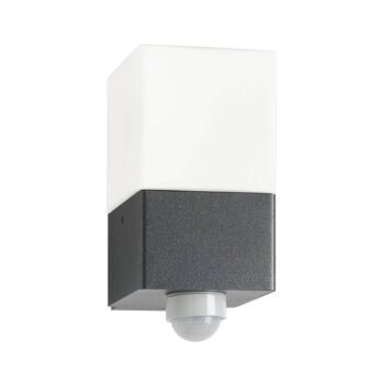 Vonkajšie nástenné svietidlo Linus, grafit, senzor, nerezová oceľ, sklo, E27