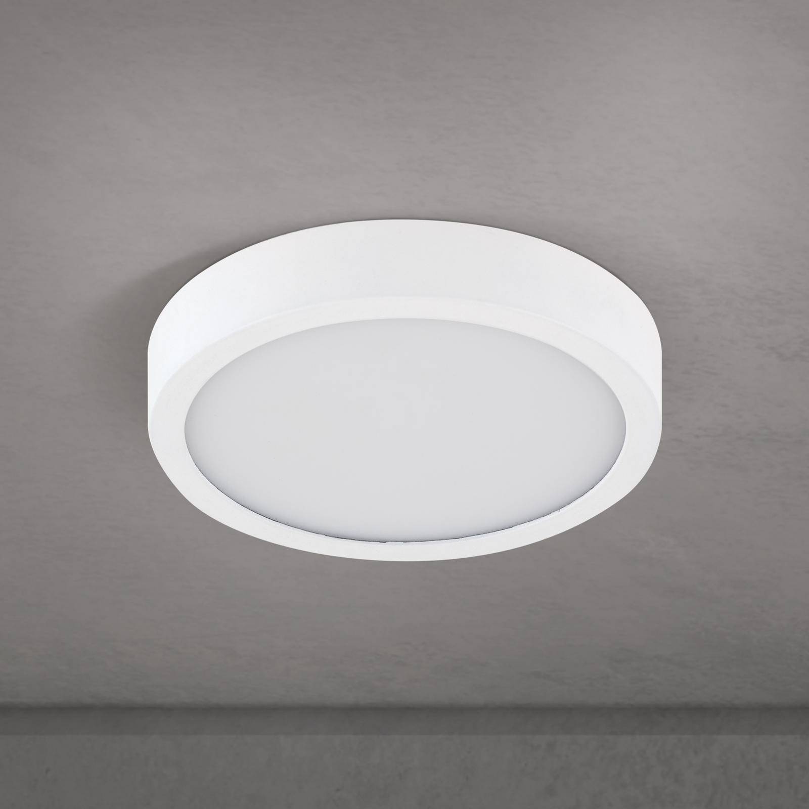 stropné LED svetlo Disc, biele Ø 14 cm, CCT, kov/plast stropné LED svetlo Disc, biele Ø 14 cm, CCT, kov/plast