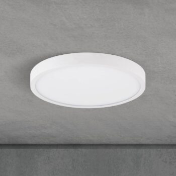 stropné LED svetlo Disc, biele Ø 24 cm, CCT, kov/plast