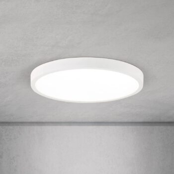 stropné LED svetlo Disc, biele Ø 28 cm, CCT, kov/plast