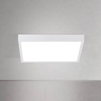 stropné LED svetlo Disc, biele, dĺžka 24 cm, CCT, kov