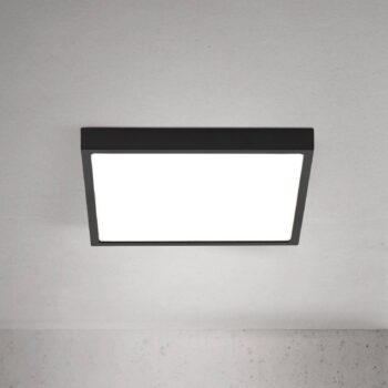 stropné LED svetlo Disc, čierne, dĺžka 24 cm, CCT kov